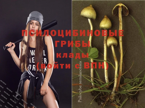 герыч Осташков