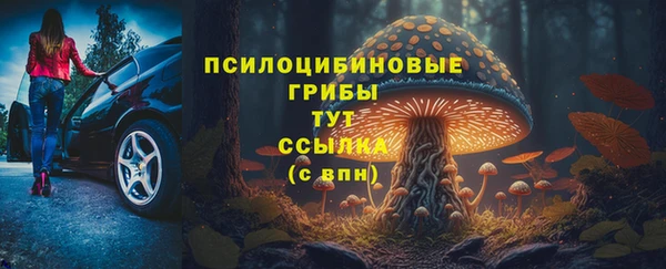 герыч Осташков