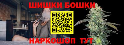 гидра Дубна