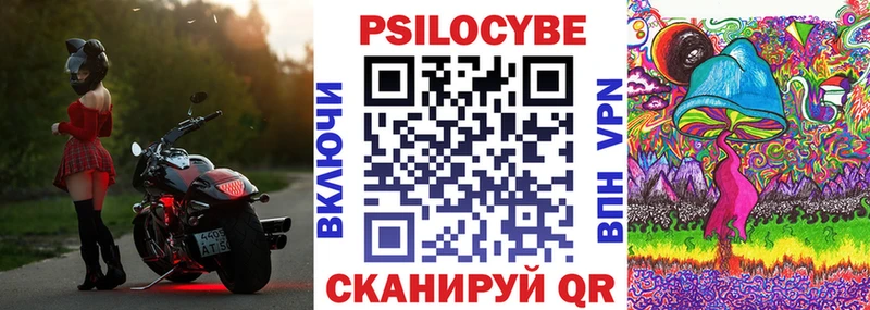 как найти наркотики  MEGA ТОР  Псилоцибиновые грибы Psilocybine cubensis  Калач-на-Дону 